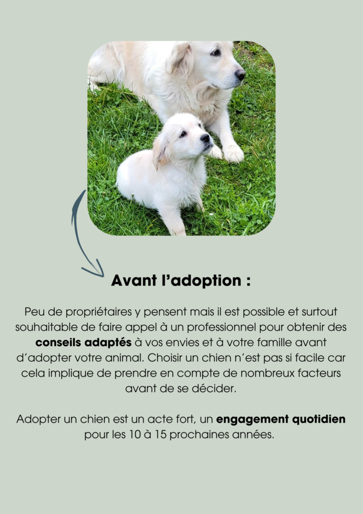 Suivi chiot avant adoption